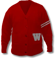 Varsity Sweaters